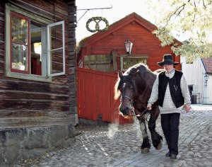 Per le vie di Skasen