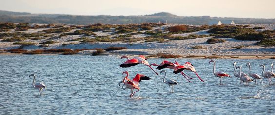 026900315938489dc9a6537e7fdebd26